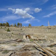 SouthernSierra 660 : SouthernSierra